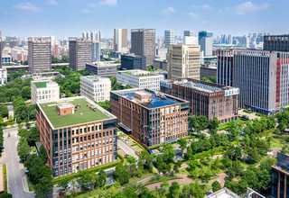 湖南40踏板竖琴售价