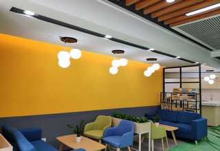 宁波宁海绿色绿植租赁厂家报价