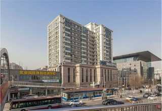 河南正规粉末活性炭作用